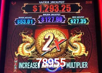 Apostas Esportivas na 78955: Um Guia Completo